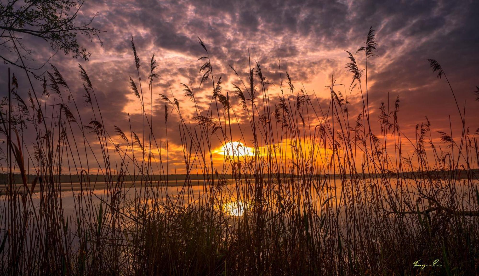 Vk Lake Aureilhan  Exterior foto
